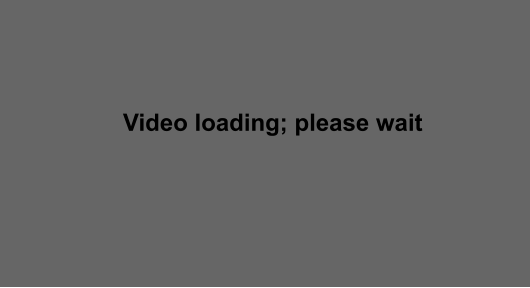 Video loading; please wait